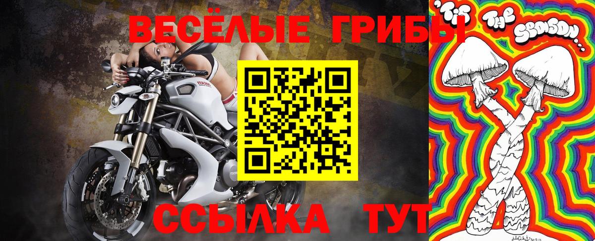 Галлюциногенные грибы Magic Shrooms Дальнегорск